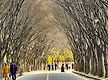 터널