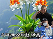 김종훈 동기소..
