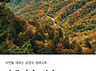 변문자 시집/..