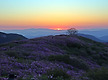 천상화원 2