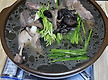 맛점 하십시요