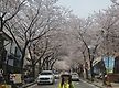 모악산 2024..