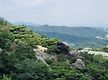 서울 안산,인..