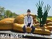 고창 청보리 ..