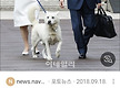나의 거대한 ..
