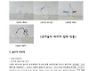 5월 3~4주 놀..