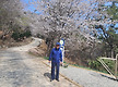 부산엄광산&#..