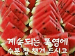 수박 드시고 ..