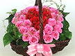 [축복]-생일 ..