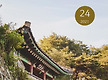 24호
