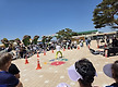 2026 태안국제..