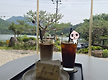 5/24-김제카페..