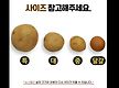 제주햇감자 제..