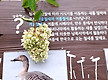 수국 훈장訓長..