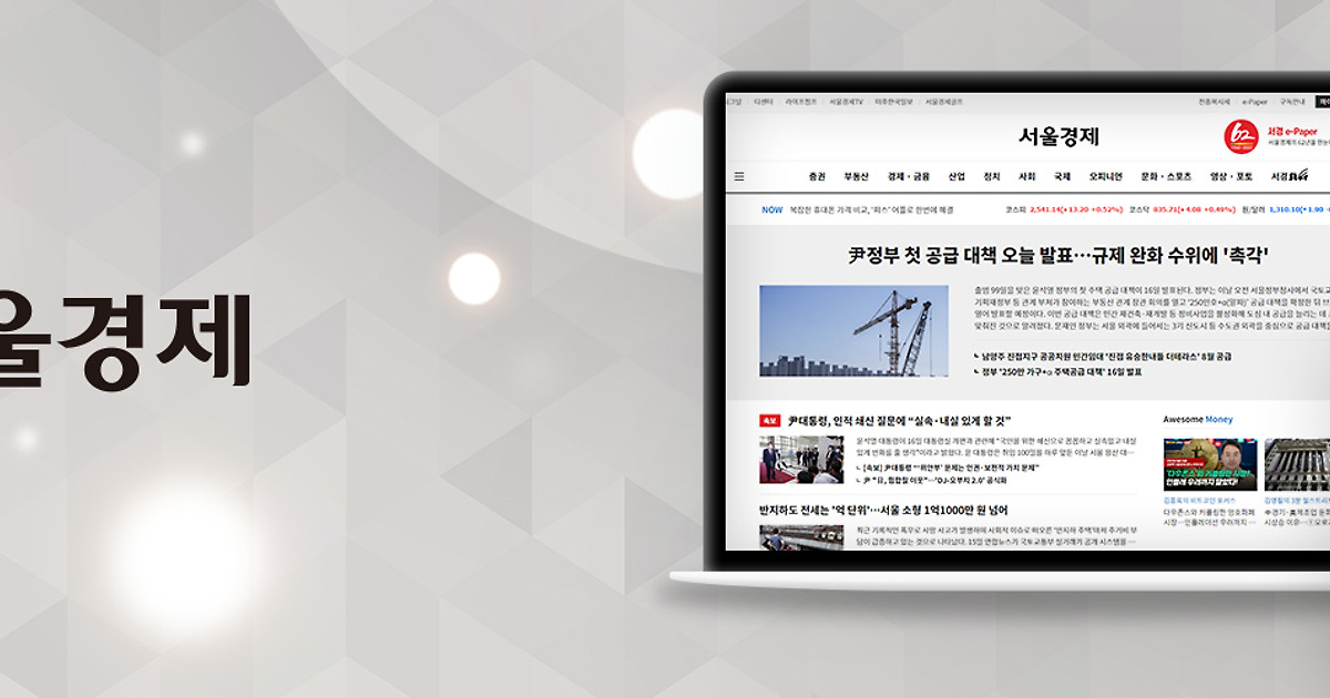 다음채널 서울경제 대표 이미지