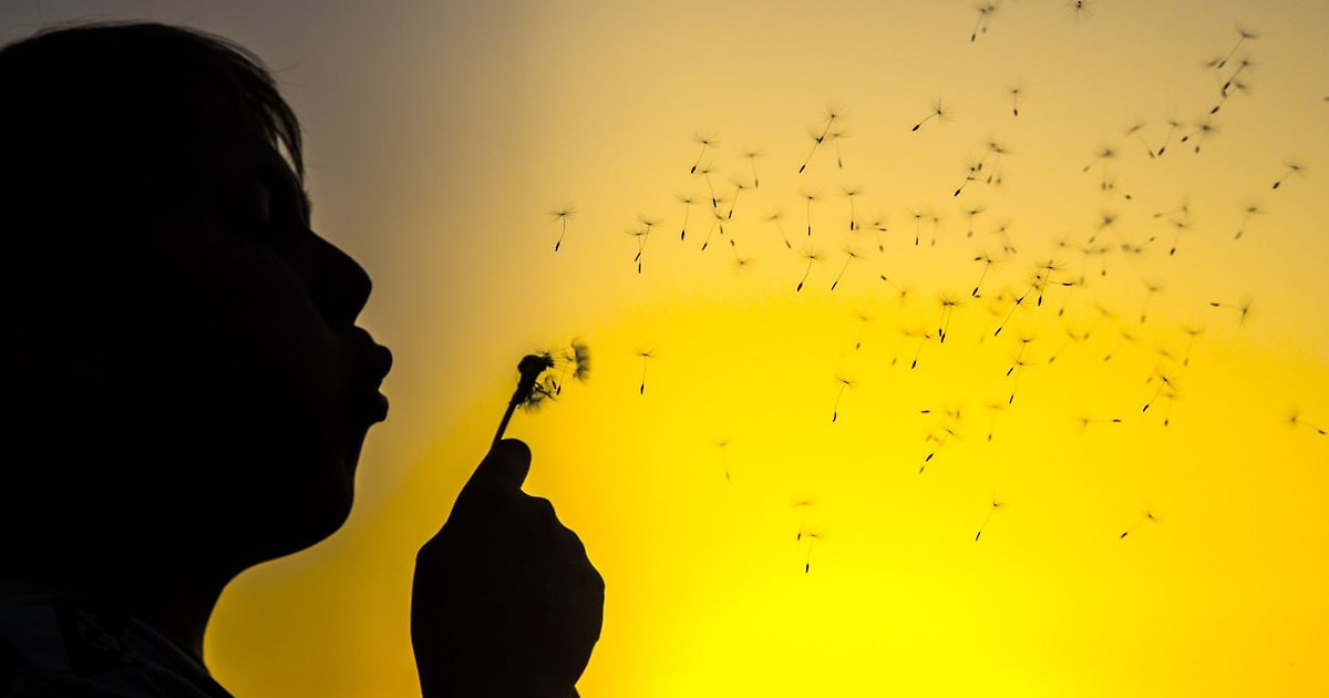 다음채널 예시 이미지