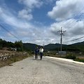 옥희랑