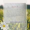 글뷰 썸네일