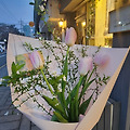 엘사 B