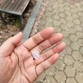일곱시의 샌드위치