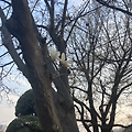 글뷰 썸네일
