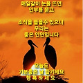 댓글 첨부 이미지