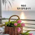 댓글 첨부 이미지