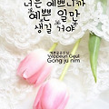 댓글 첨부 이미지