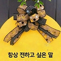 댓글 첨부 이미지