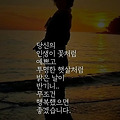 댓글 첨부 이미지