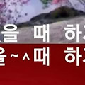댓글 첨부 이미지