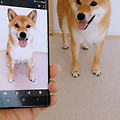 댓글 첨부 이미지