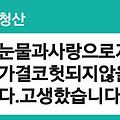 댓글 첨부 이미지