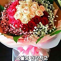 댓글 첨부 이미지