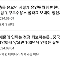 댓글 첨부 이미지