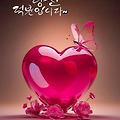댓글 첨부 이미지