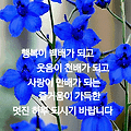 '남은 시간 즐겁게 보' 글에 포함된 이미지