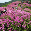 '기억이 잘 안 나고, ' 글에 포함된 이미지