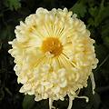'늙어가는 모습 똑 같' 글에 포함된 이미지