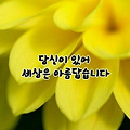 댓글 첨부 이미지