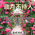 '출석합니다' 글에 포함된 이미지
