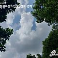 '바람불어 조금은 시원' 글에 포함된 이미지