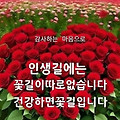 '출석요' 글에 포함된 이미지