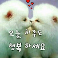 '.' 글에 포함된 이미지