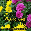 '11월의 첫번째 일요일' 글에 포함된 이미지