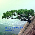 '.' 글에 포함된 이미지