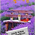 '출석요' 글에 포함된 이미지