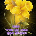 '존경하는 우리 회원님' 글에 포함된 이미지