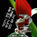 '.' 글에 포함된 이미지