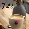 '6월의 마지막 주말 즐' 글에 포함된 이미지